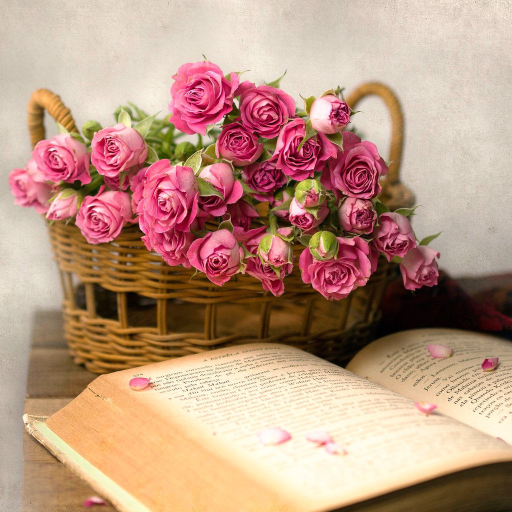 Обои розы, лепестки, корзина, книга, roses, petals, basket, book разрешение 2000x1384 Загрузить