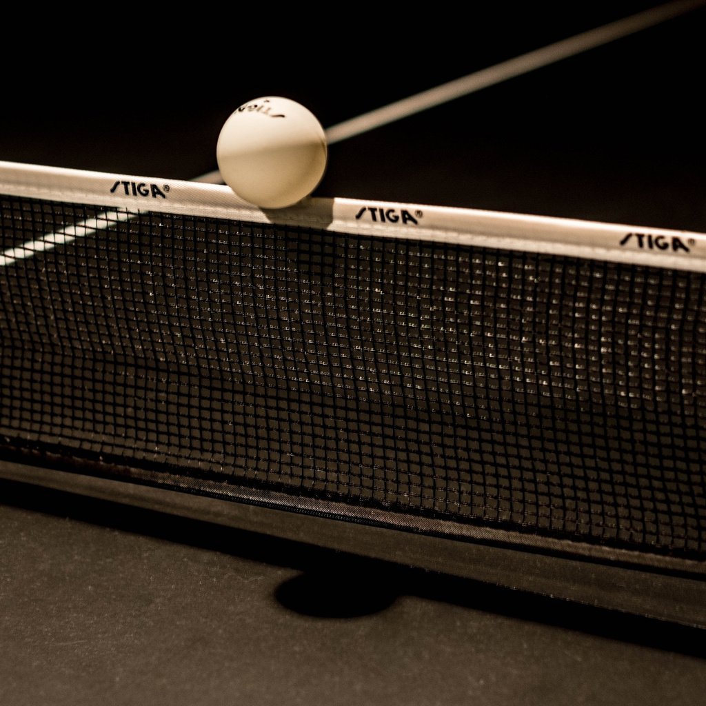 Обои сетка, мячик, настольный теннис, пинг-понг, mesh, the ball, table tennis, ping-pong разрешение 3600x2236 Загрузить