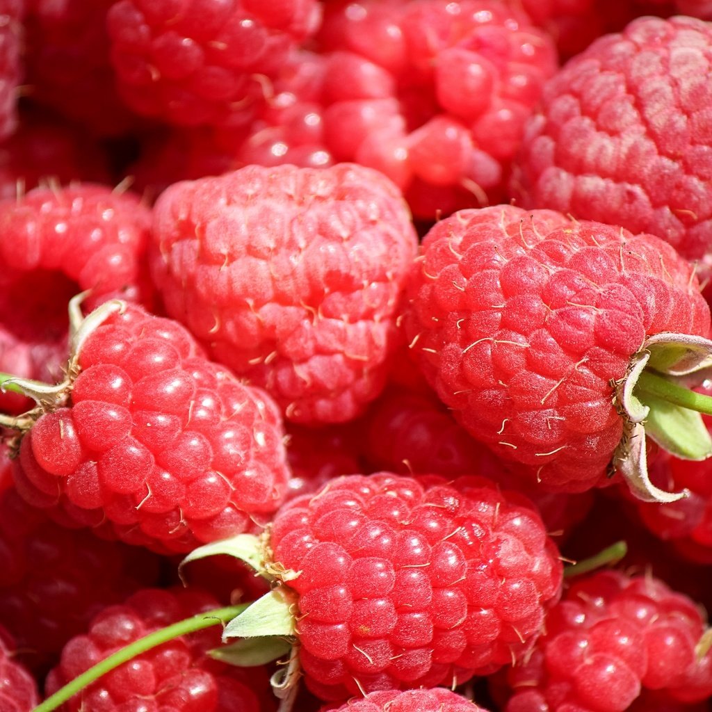 Обои макро, малина, ягоды, macro, raspberry, berries разрешение 2600x1670 Загрузить