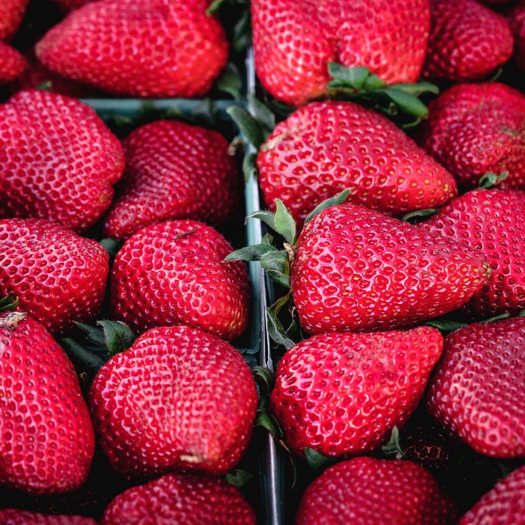 Обои ягода, красная, клубника, спелая, berry, red, strawberry, ripe разрешение 2880x1921 Загрузить