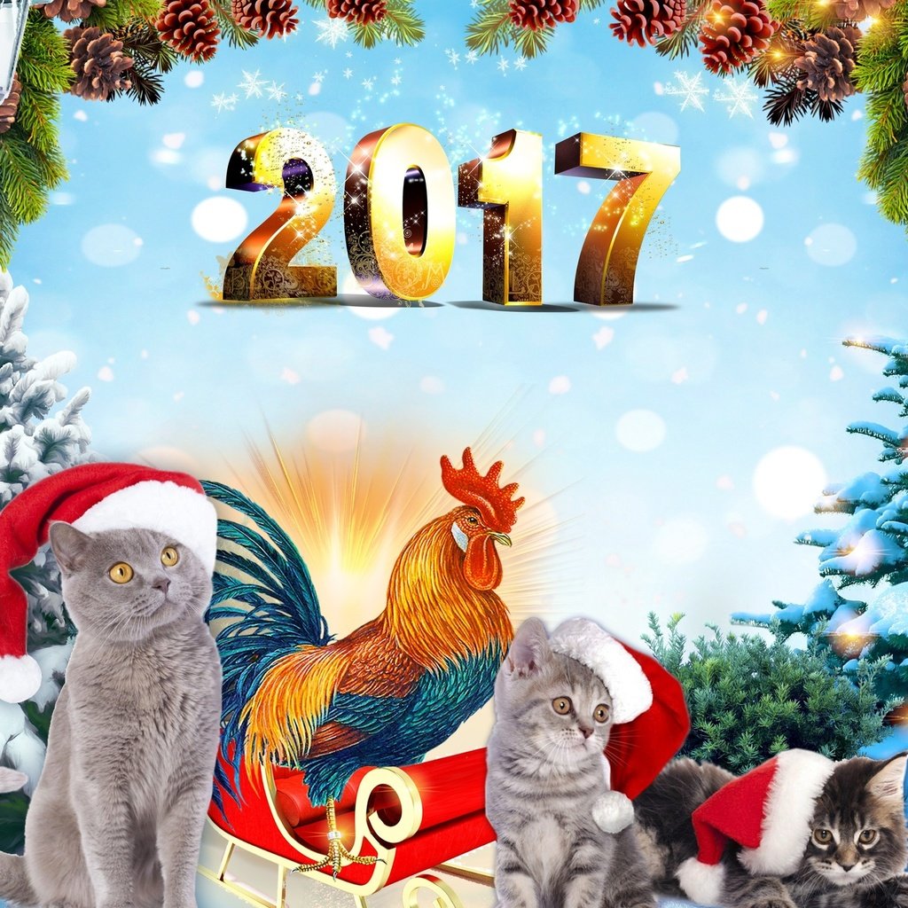 Обои фон, голубой, серые, ели, котята, год, календарь, 2017, год петуха, the year of the rooster, background, blue, grey, ate, kittens, year, calendar разрешение 2560x1600 Загрузить