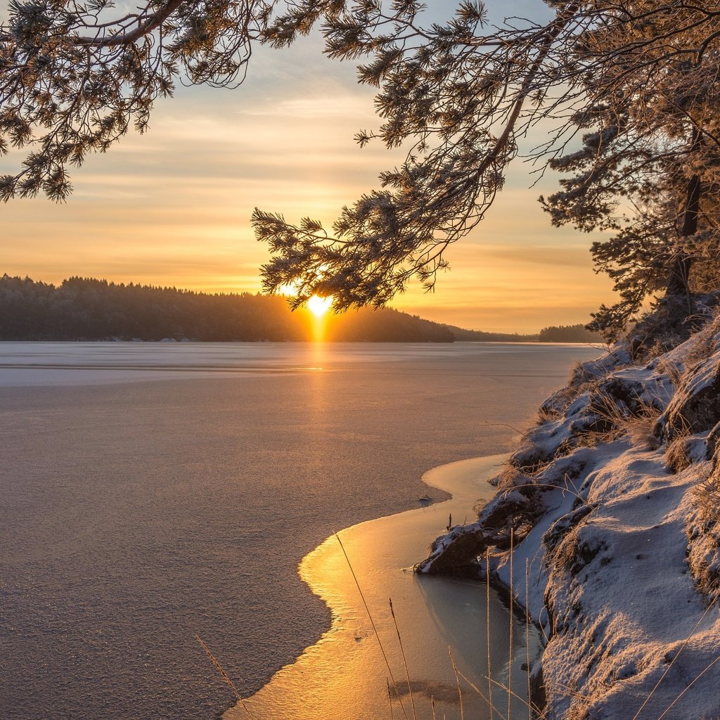 Обои озеро, зима, утро, рассвет, швеция, швеции, lake, winter, morning, dawn, sweden разрешение 2048x1365 Загрузить