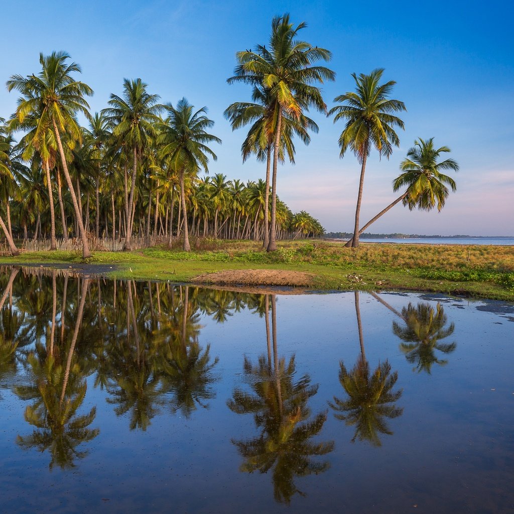 Обои небо, отражение, пейзаж, море, пальмы, пальма, the sky, reflection, landscape, sea, palm trees, palma разрешение 2048x1297 Загрузить