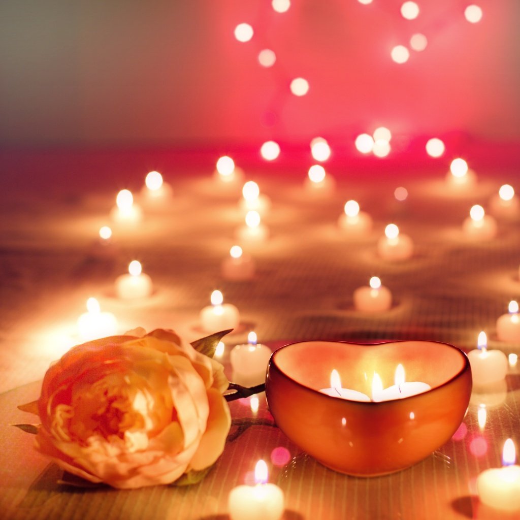 Обои свечи, цветок, роза, праздник, боке, candles, flower, rose, holiday, bokeh разрешение 4781x3188 Загрузить
