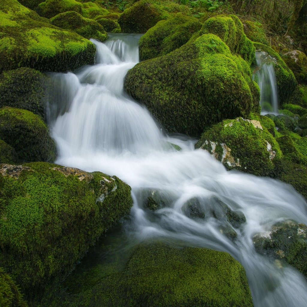 Обои вода, камни, поток, мох, water, stones, stream, moss разрешение 2048x1365 Загрузить