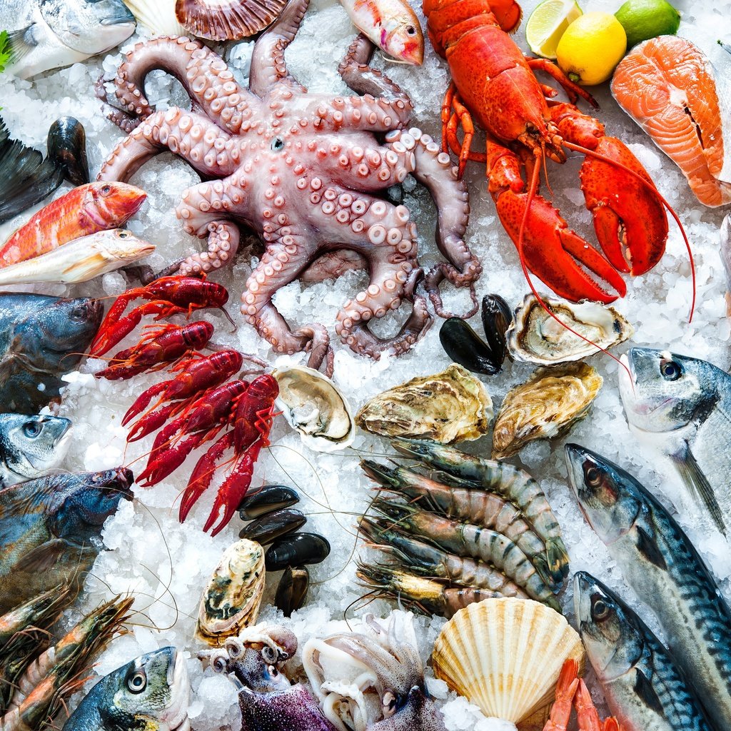 Обои осьминог, омар, лёд, лимон, рыба, морепродукты, креветки, петрушка, раки, octopus, omar, ice, lemon, fish, seafood, shrimp, parsley, cancers разрешение 9000x6000 Загрузить