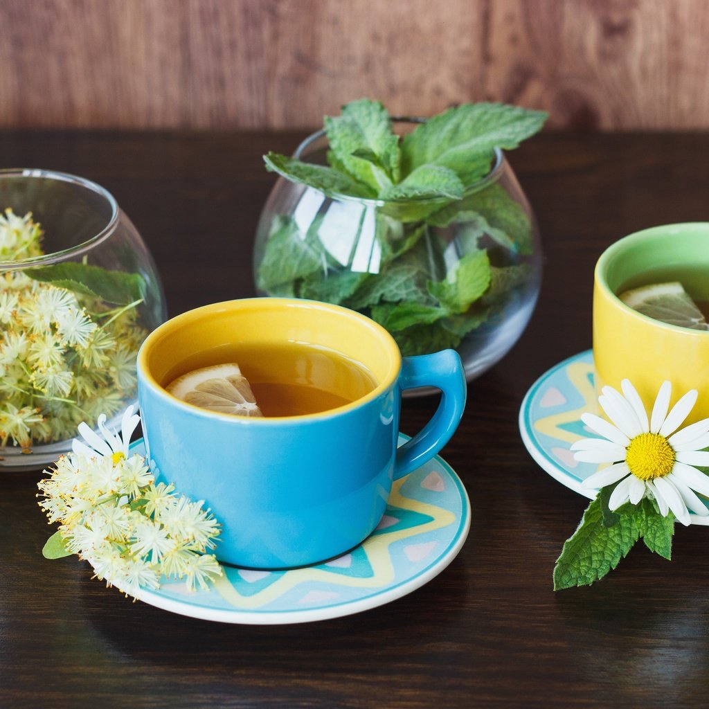 Обои цветы, мята, ромашка, лимон, чашка, чай, травы, flowers, mint, daisy, lemon, cup, tea, grass разрешение 5184x3456 Загрузить