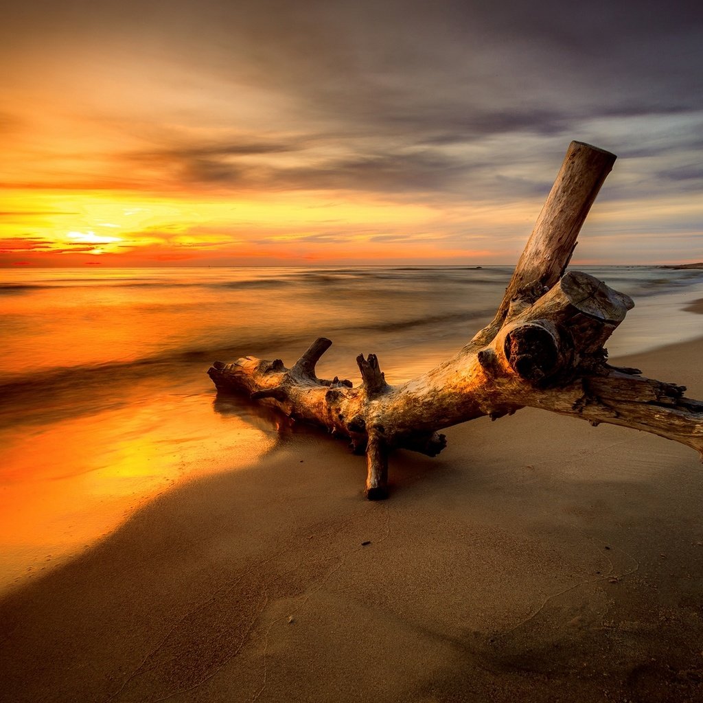 Обои небо, облака, закат, пейзаж, море, пляж, бревно, the sky, clouds, sunset, landscape, sea, beach, log разрешение 1920x1280 Загрузить