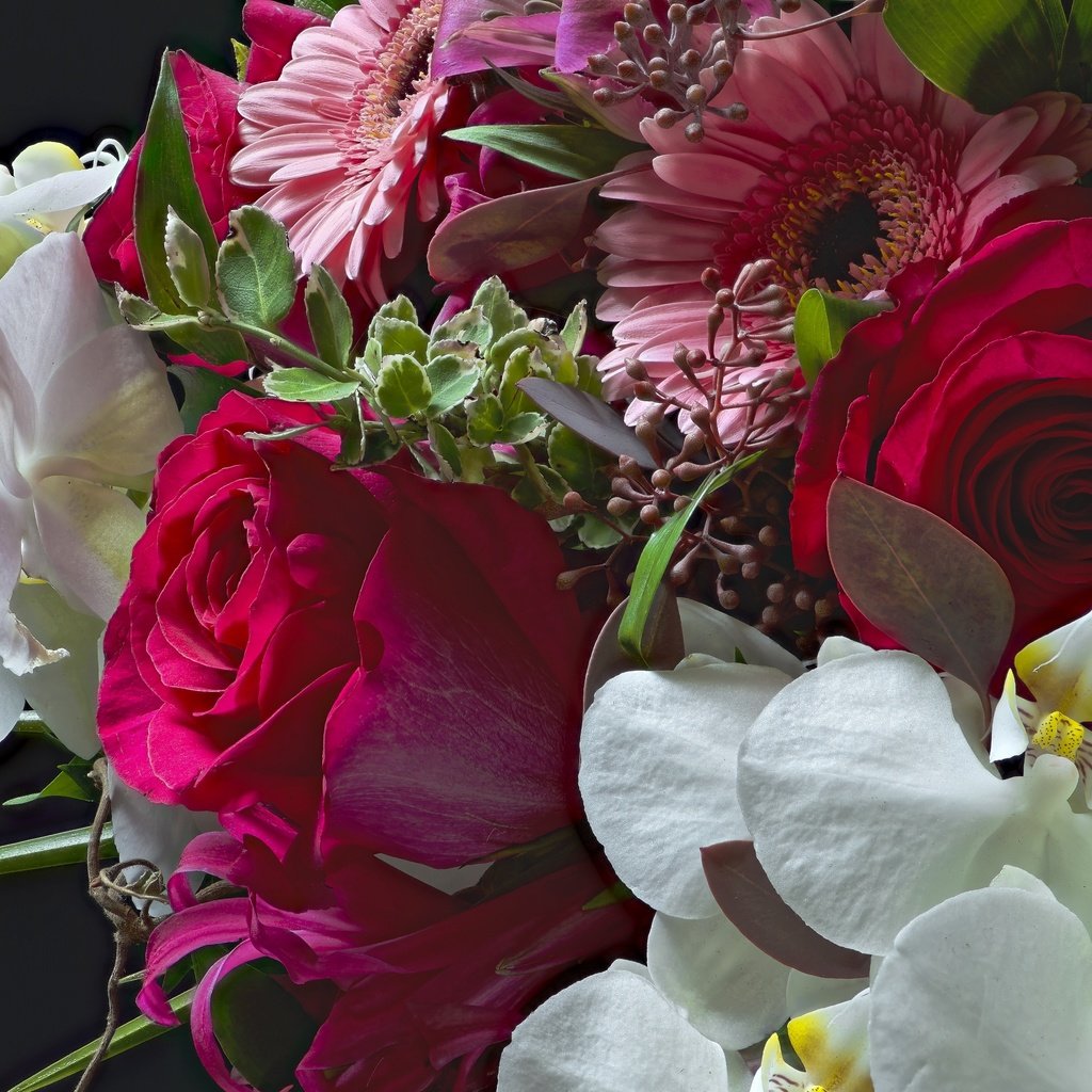 Обои цветы, розы, букет, орхидея, гербера, flowers, roses, bouquet, orchid, gerbera разрешение 3000x1938 Загрузить