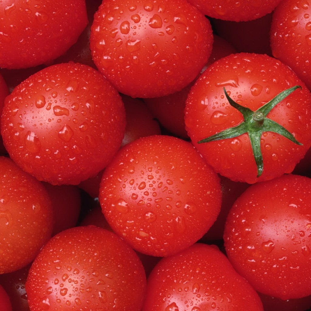 Обои текстура, капли, овощи, помидоры, томаты, texture, drops, vegetables, tomatoes разрешение 1920x1080 Загрузить
