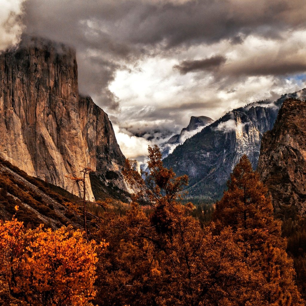 Обои деревья, горы, осень, сша, калифорния, йосемити, trees, mountains, autumn, usa, ca, yosemite разрешение 2048x1365 Загрузить