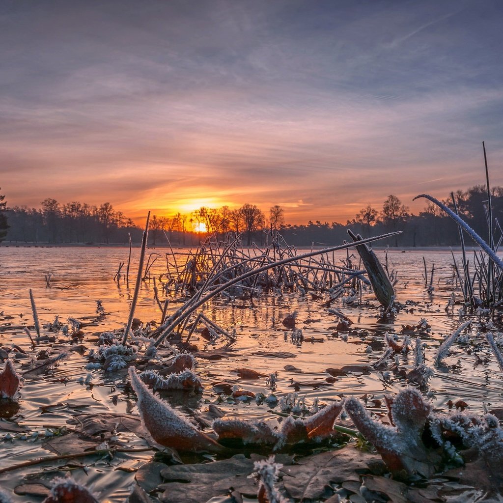 Обои небо, деревья, озеро, солнце, закат, иней, the sky, trees, lake, the sun, sunset, frost разрешение 2048x1238 Загрузить