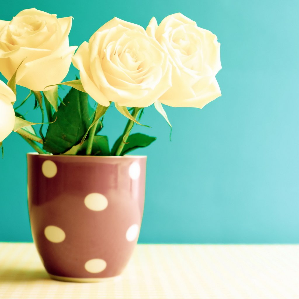 Обои цветы, розы, лепестки, кружка, букет, чашка, flowers, roses, petals, mug, bouquet, cup разрешение 3000x2245 Загрузить