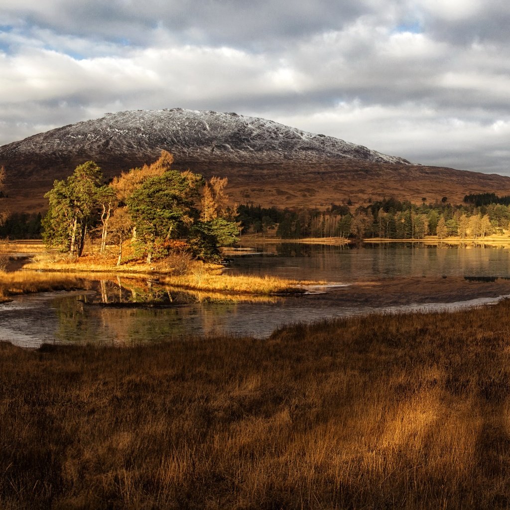 Обои трава, облака, деревья, озеро, горы, берег, шотландия, grass, clouds, trees, lake, mountains, shore, scotland разрешение 3500x2000 Загрузить