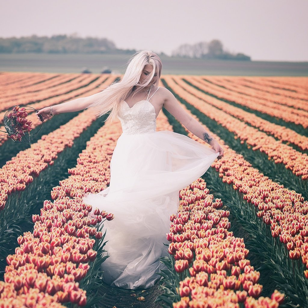 Обои цветы, природа, девушка, настроение, блондинка, поле, тюльпаны, белое платье, flowers, nature, girl, mood, blonde, field, tulips, white dress разрешение 2048x1240 Загрузить