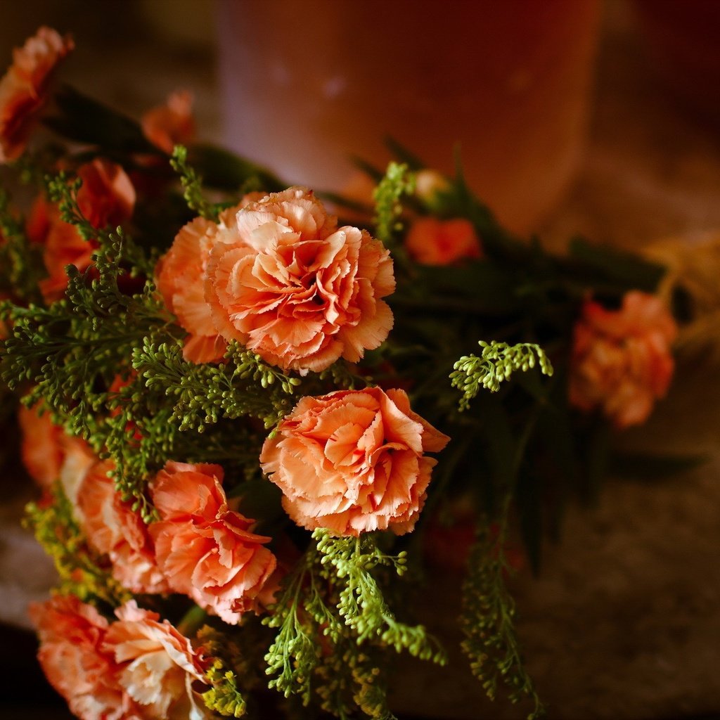 Обои цветы, букет, натюрморт, гвоздики, flowers, bouquet, still life, clove разрешение 1920x1280 Загрузить
