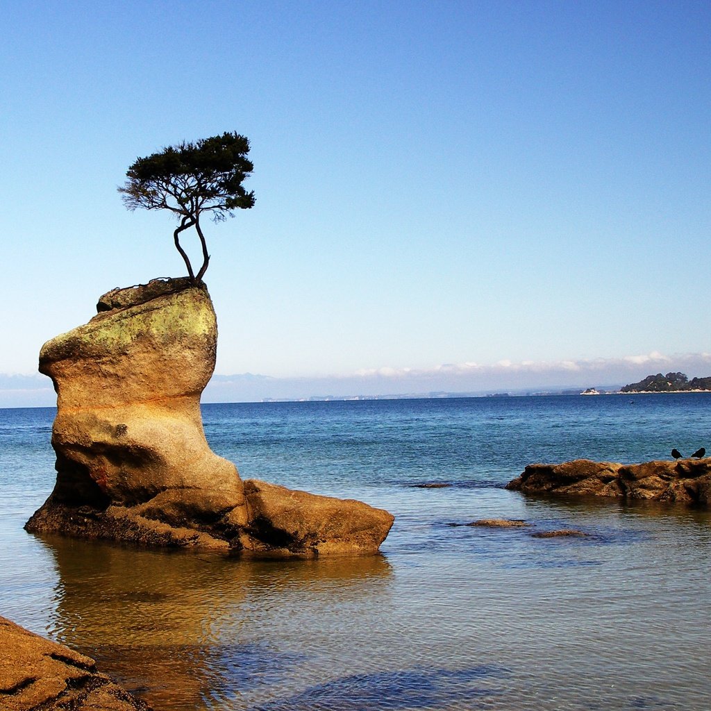 Обои небо, скалы, дерево, море, горизонт, побережье, the sky, rocks, tree, sea, horizon, coast разрешение 2668x1900 Загрузить