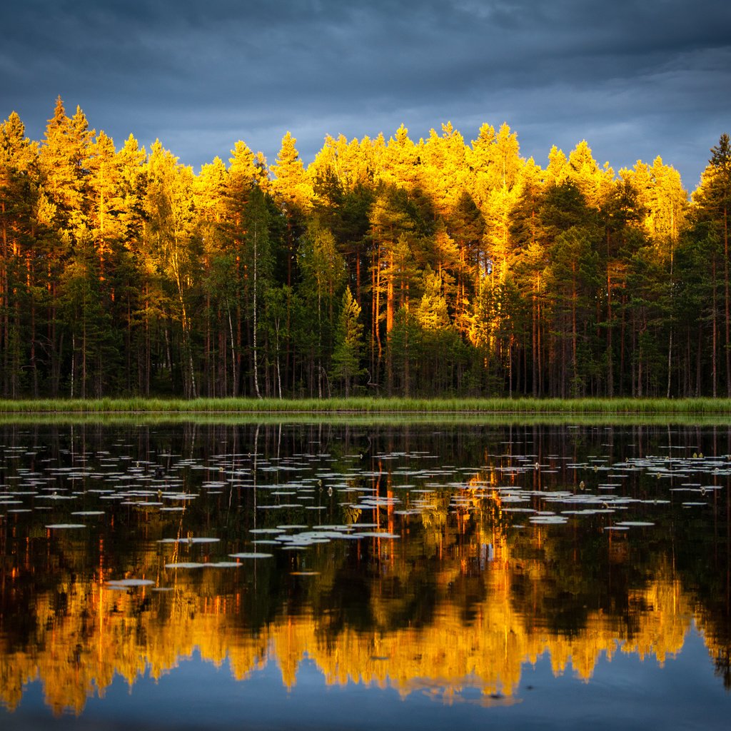 Обои небо, деревья, озеро, природа, лес, отражение, осень, the sky, trees, lake, nature, forest, reflection, autumn разрешение 4188x2781 Загрузить