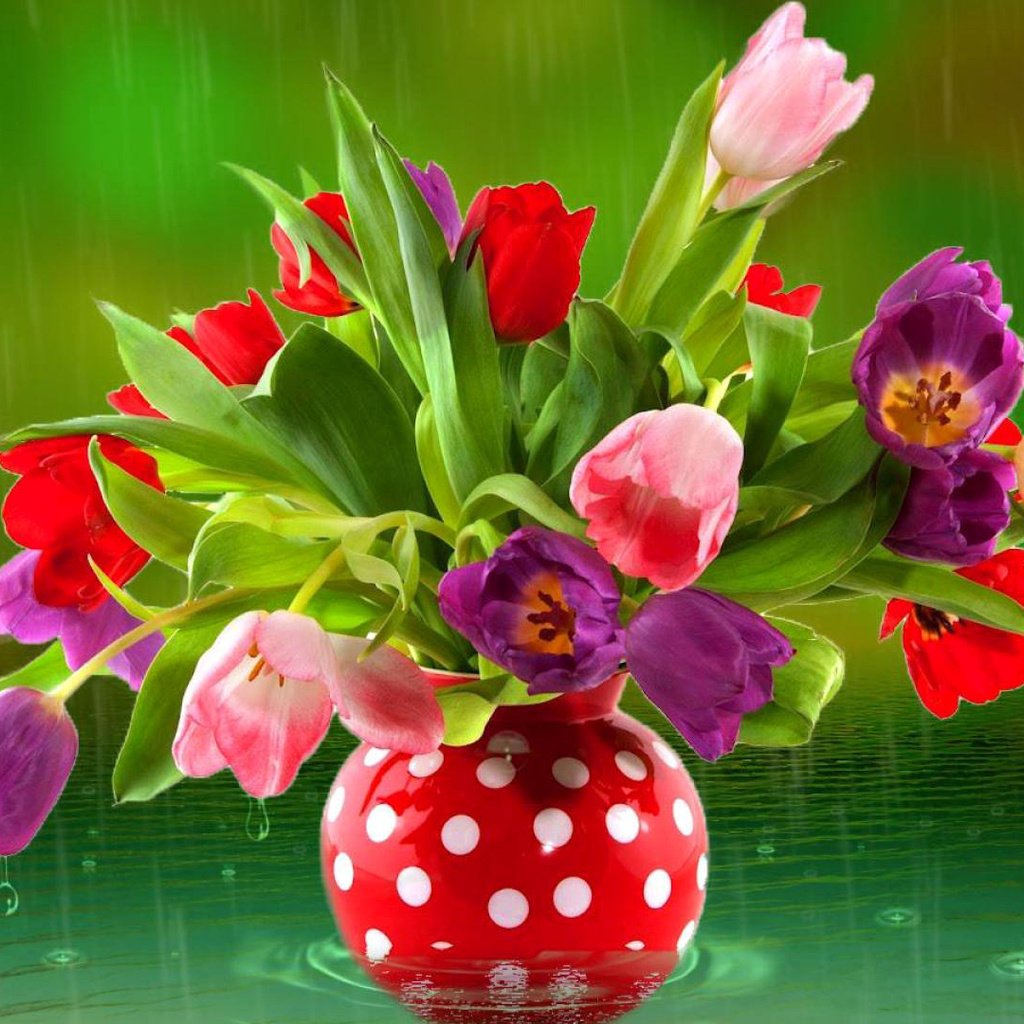 Обои цветы, вода, дождь, тюльпаны, ваза, flowers, water, rain, tulips, vase разрешение 1920x1080 Загрузить