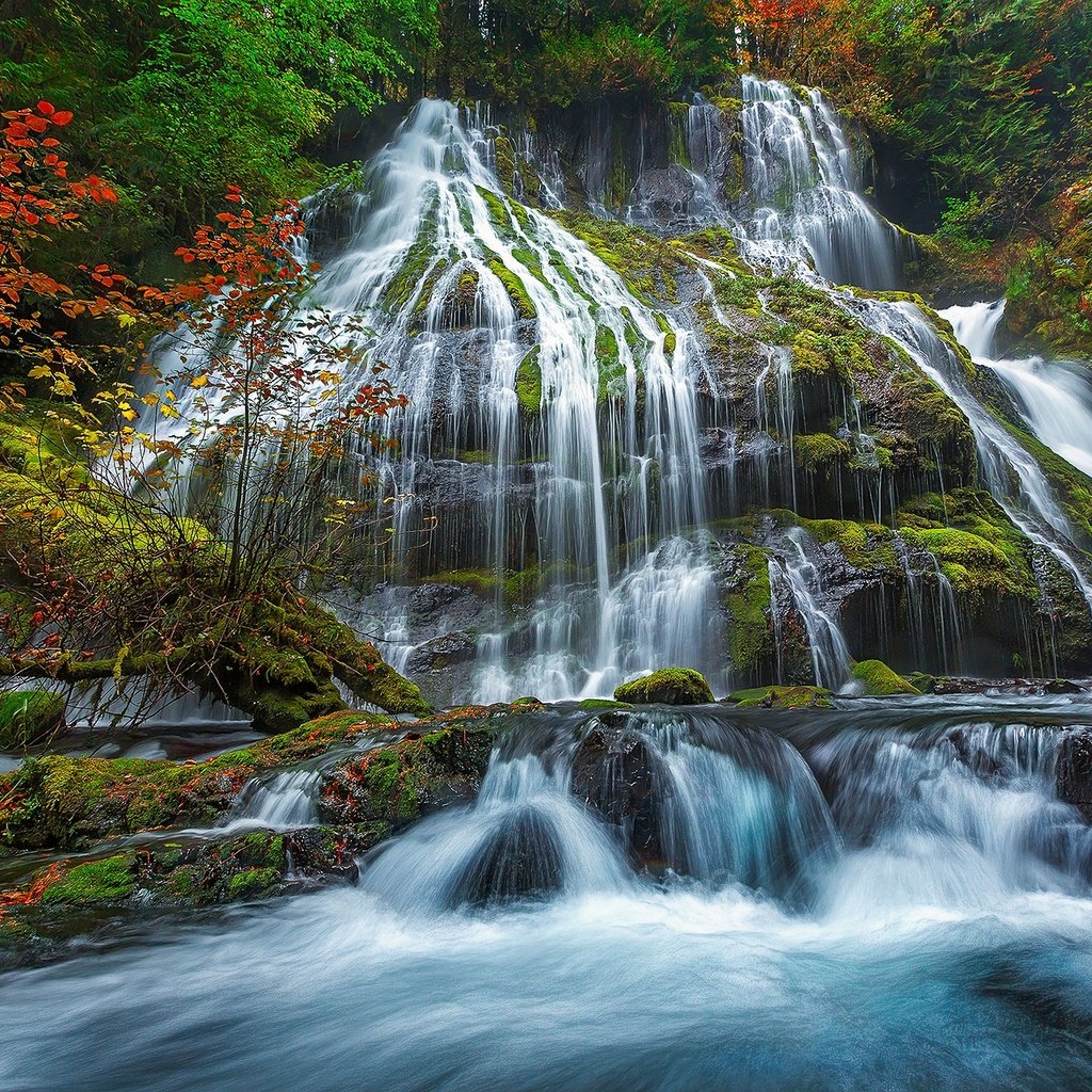 Обои вода, камни, водопад, осень, поток, мох, water, stones, waterfall, autumn, stream, moss разрешение 2048x1365 Загрузить