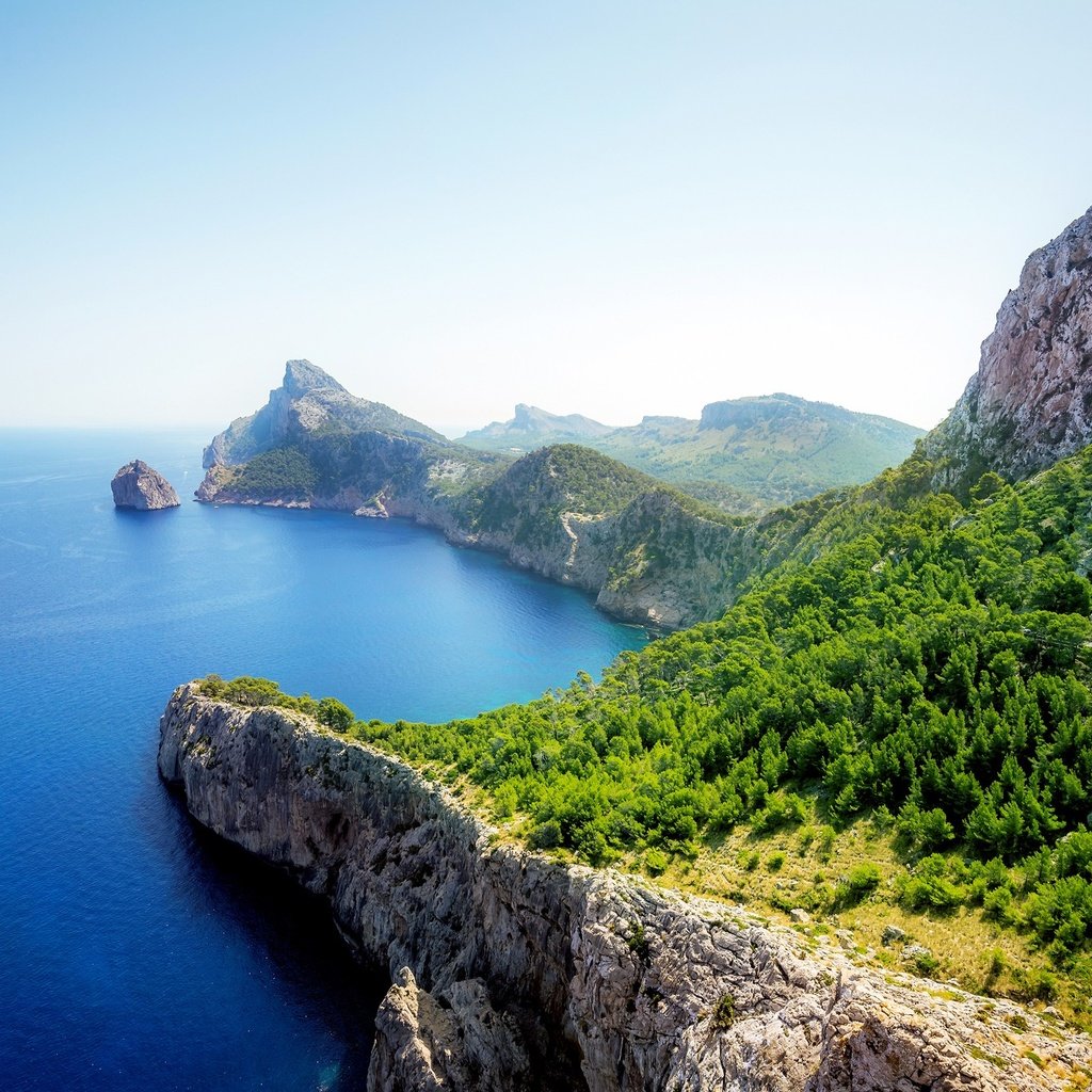 Обои деревья, скалы, берег, зелень, море, вид, солнечно, trees, rocks, shore, greens, sea, view, sunny разрешение 2160x1350 Загрузить