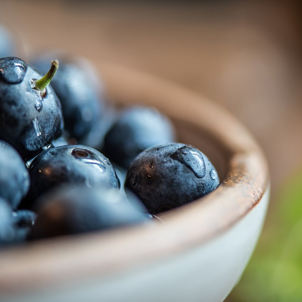 Обои макро, капли, ягода, черника, голубика, macro, drops, berry, blueberries разрешение 3840x2160 Загрузить