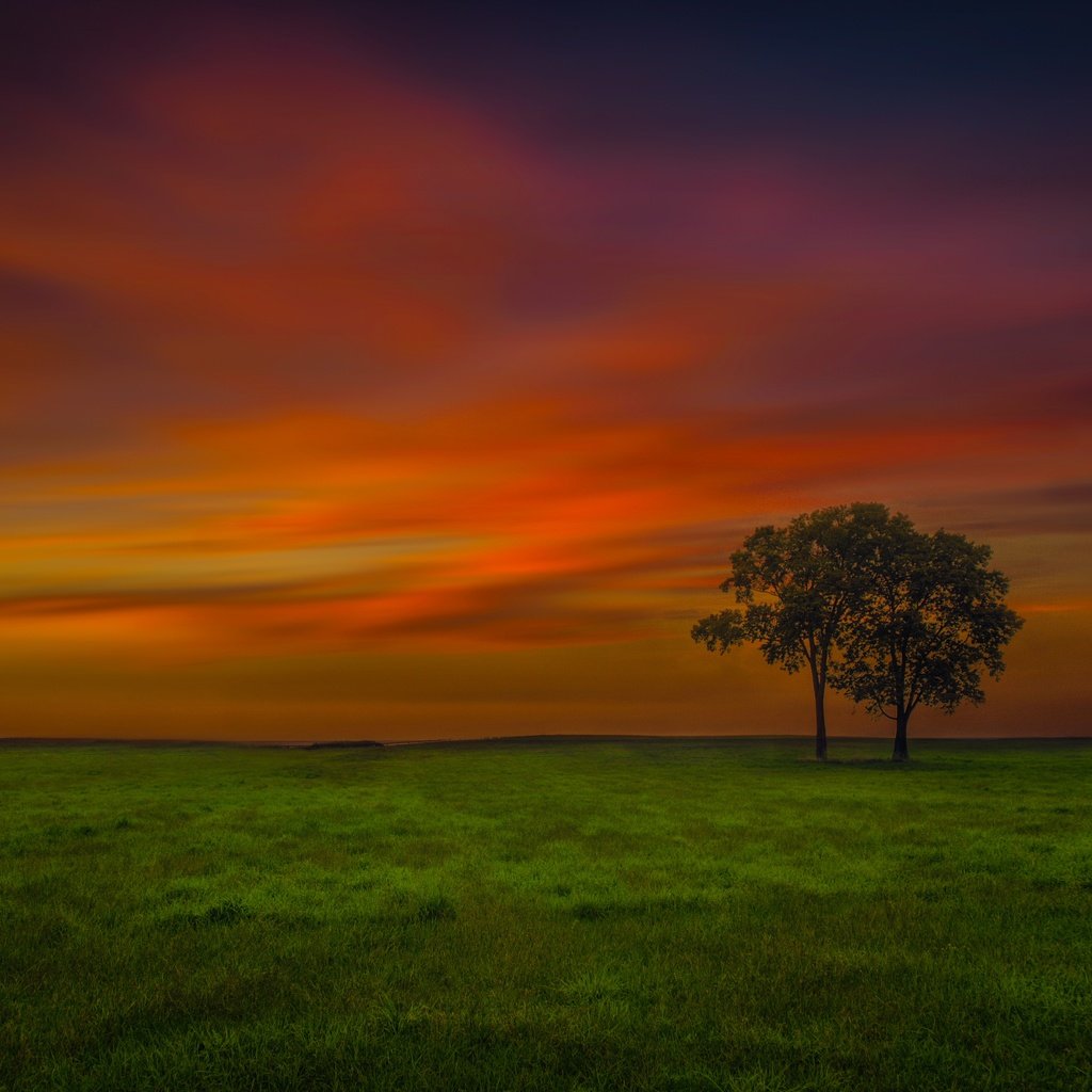 Обои небо, вечер, дерево, поле, the sky, the evening, tree, field разрешение 6452x3888 Загрузить