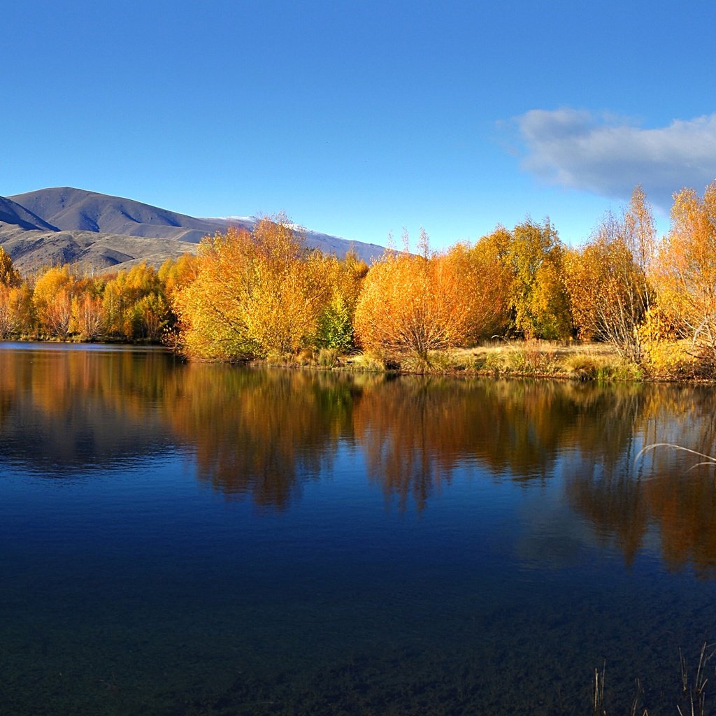 Обои небо, вода, озеро, осень, ивы, the sky, water, lake, autumn, willow разрешение 2400x1337 Загрузить