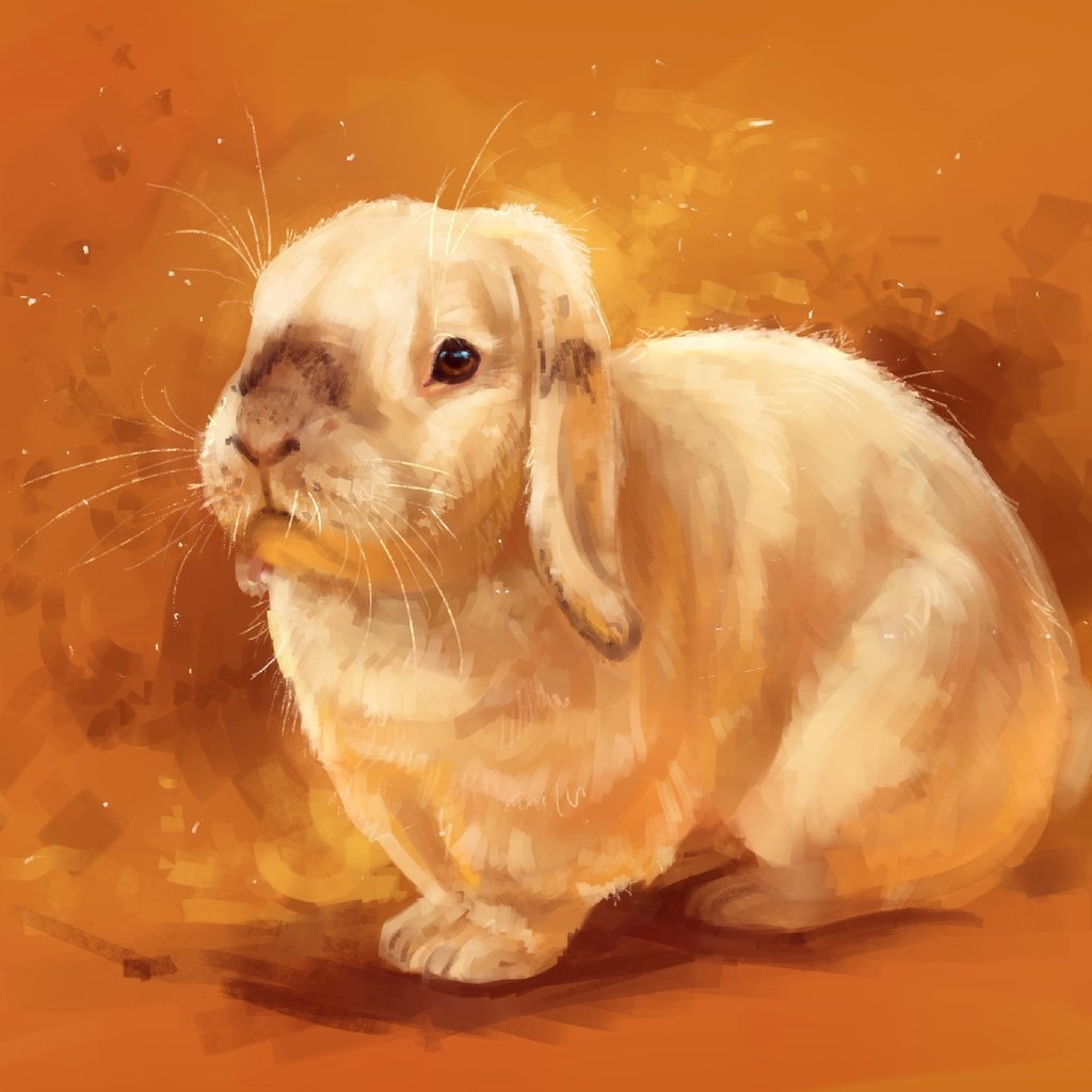 Обои рисунок, фон, мордочка, взгляд, кролик, животное, уши, заяц, figure, background, muzzle, look, rabbit, animal, ears, hare разрешение 2560x1930 Загрузить