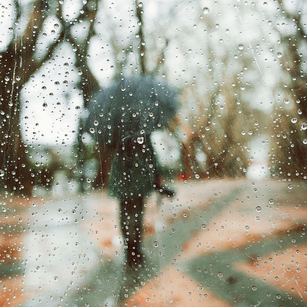 Обои деревья, девушка, капли, модель, дождь, зонт, rainy days, luis valadares, trees, girl, drops, model, rain, umbrella разрешение 1920x1280 Загрузить