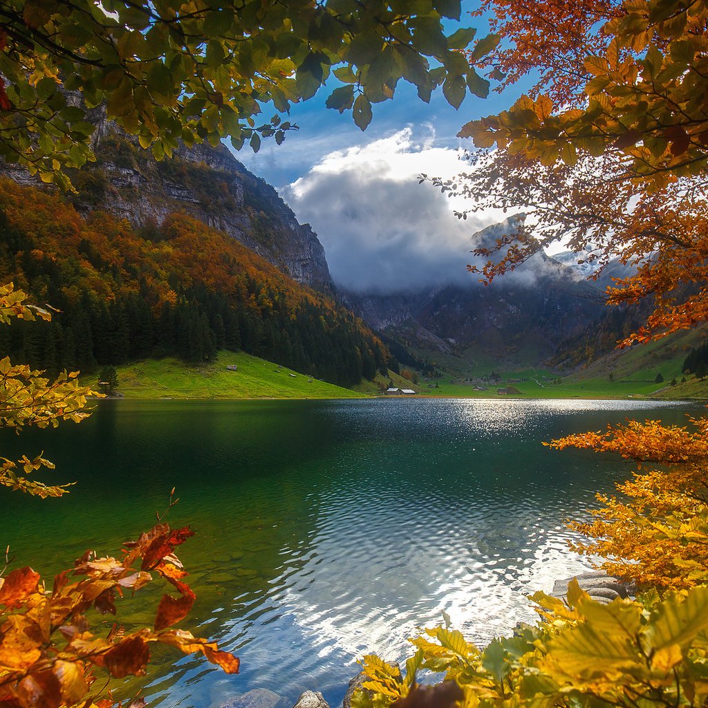 Обои небо, облака, деревья, озеро, горы, лес, осень, the sky, clouds, trees, lake, mountains, forest, autumn разрешение 1920x1200 Загрузить