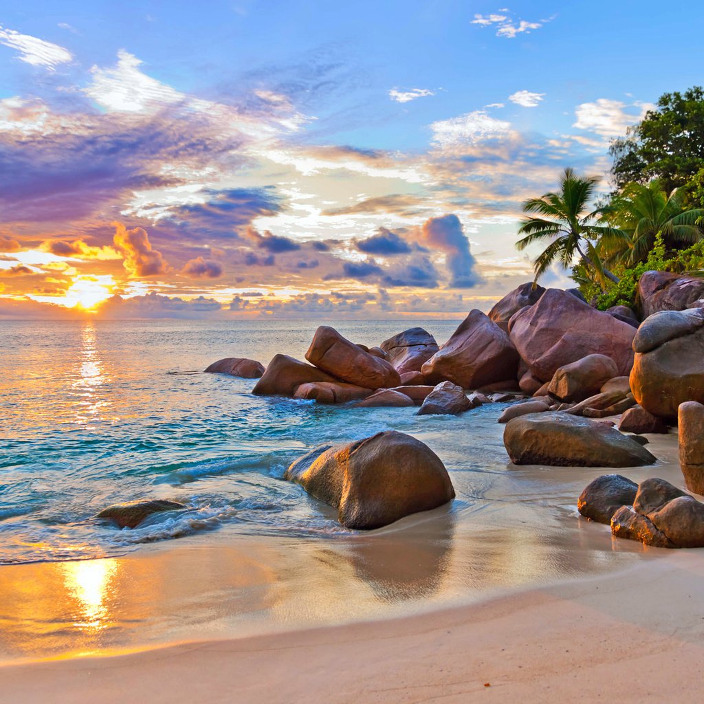 Обои закат, море, пляж, остров, тропики, сейшелы, sunset, sea, beach, island, tropics, seychelles разрешение 4243x2829 Загрузить
