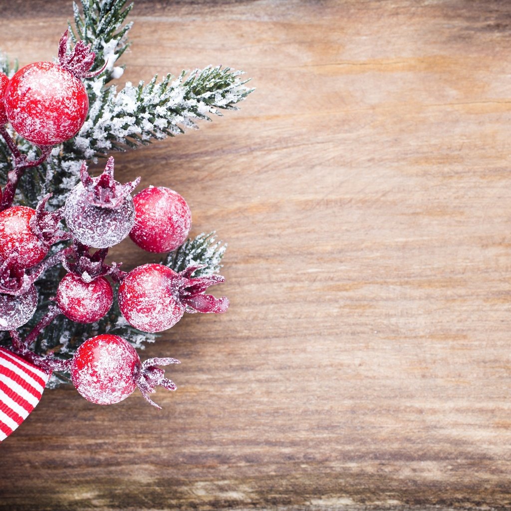 Обои ветка, новый год, елка, ягоды, рождество, елочные игрушки, бант, branch, new year, tree, berries, christmas, christmas decorations, bow разрешение 2880x1800 Загрузить