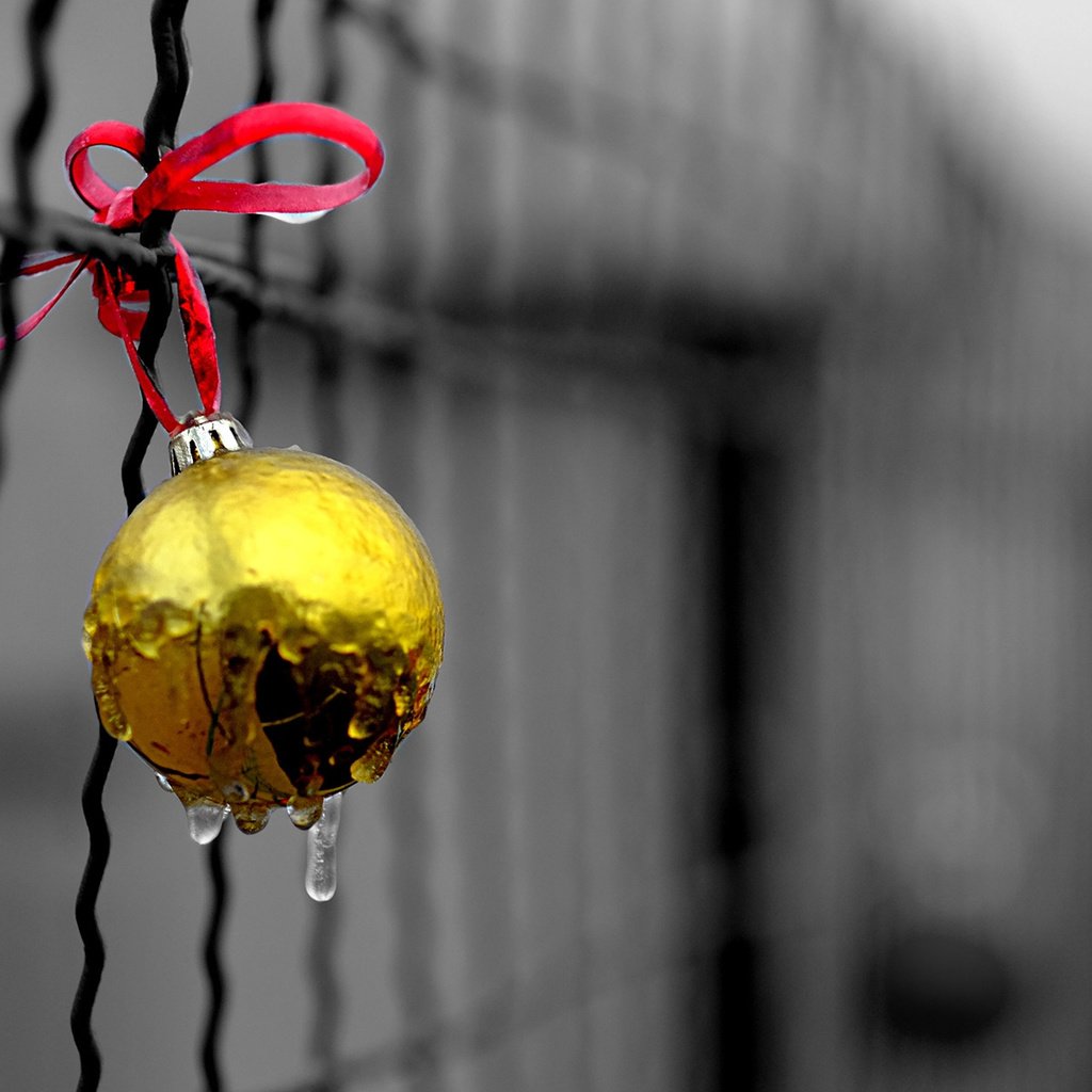 Обои новый год, капли, забор, шар, рождество, елочная игрушка, new year, drops, the fence, ball, christmas, christmas toy разрешение 1920x1200 Загрузить