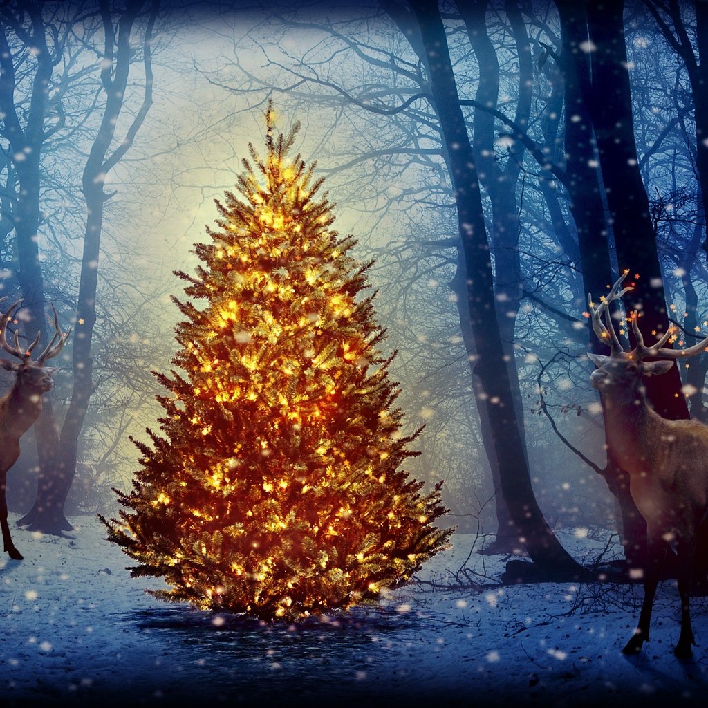 Обои новый год, елка, лес, олени, рождество, new year, tree, forest, deer, christmas разрешение 2880x1800 Загрузить