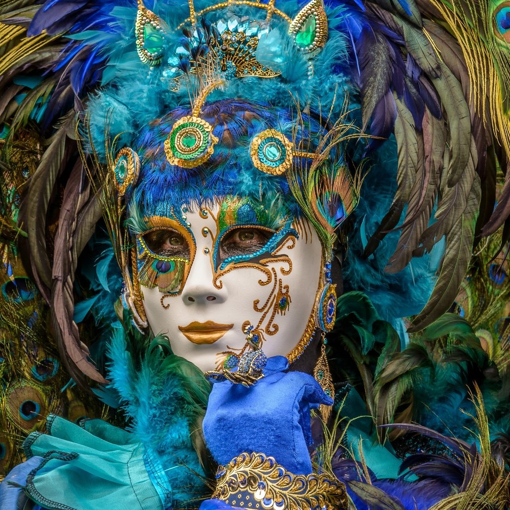 Обои стиль, маска, павлин, перья, карнавал, маскарад, style, mask, peacock, feathers, carnival, masquerade разрешение 4647x3098 Загрузить