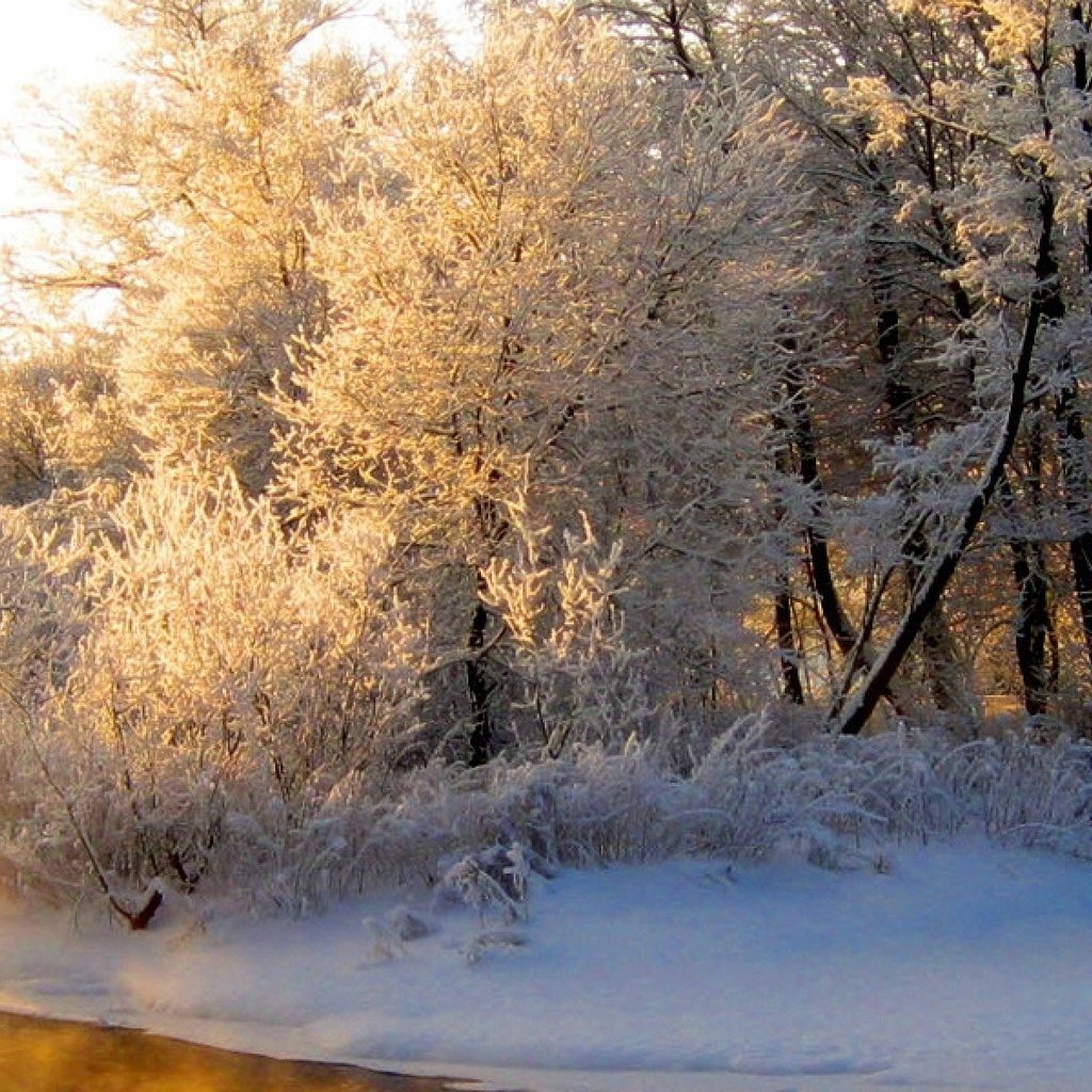 Обои свет, река, лес, зима, отражение, иней, оранжевый, седина, light, river, forest, winter, reflection, frost, orange, gray разрешение 3840x1200 Загрузить