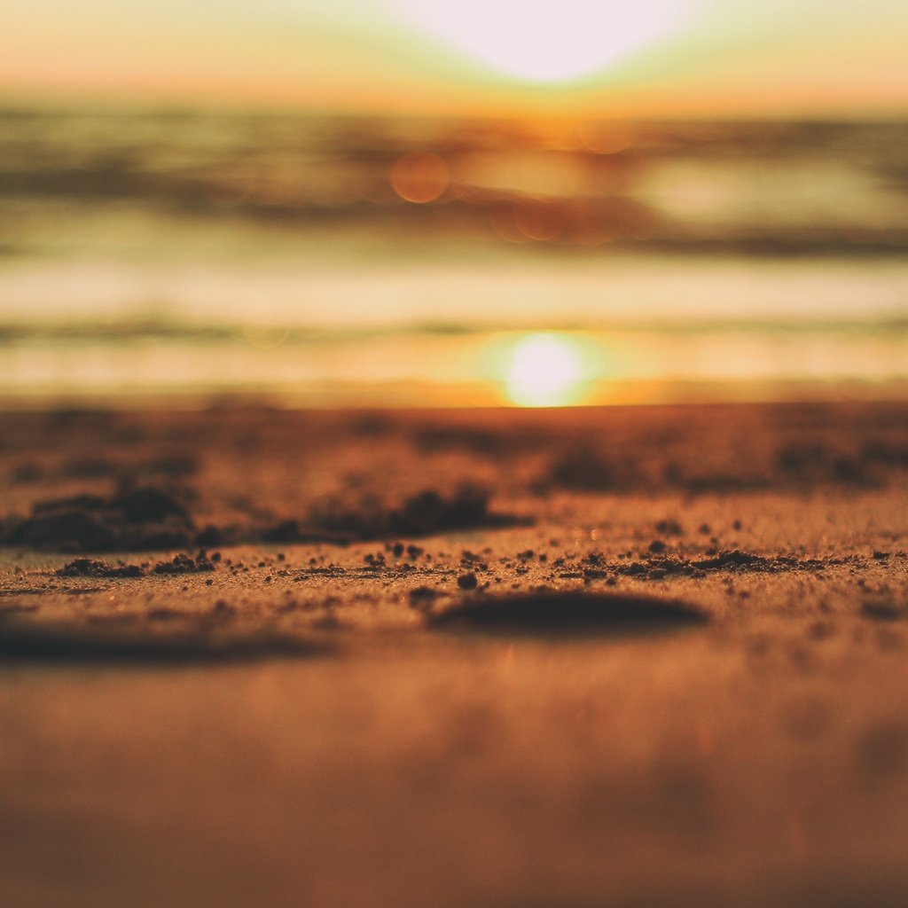 Обои солнце, закат, песок, пляж, боке, the sun, sunset, sand, beach, bokeh разрешение 3456x2304 Загрузить