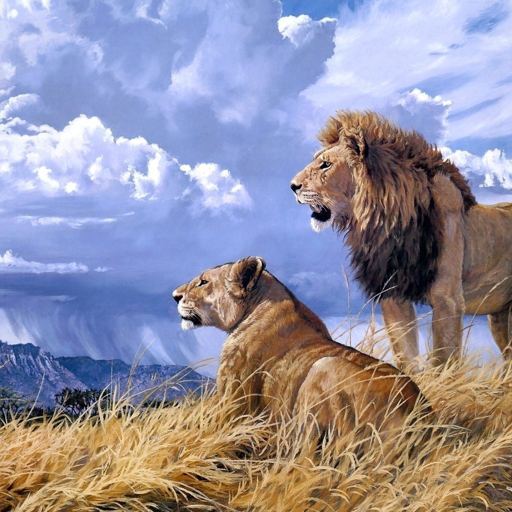 Обои небо, арт, облака, природа, львы, лев, львица, the sky, art, clouds, nature, lions, leo, lioness разрешение 2380x1542 Загрузить