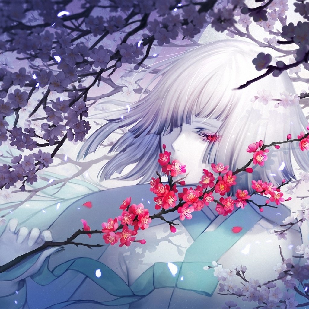 Обои цветы, ветка, девушка, сакура, белые волосы, flowers, branch, girl, sakura, white hair разрешение 1920x1168 Загрузить