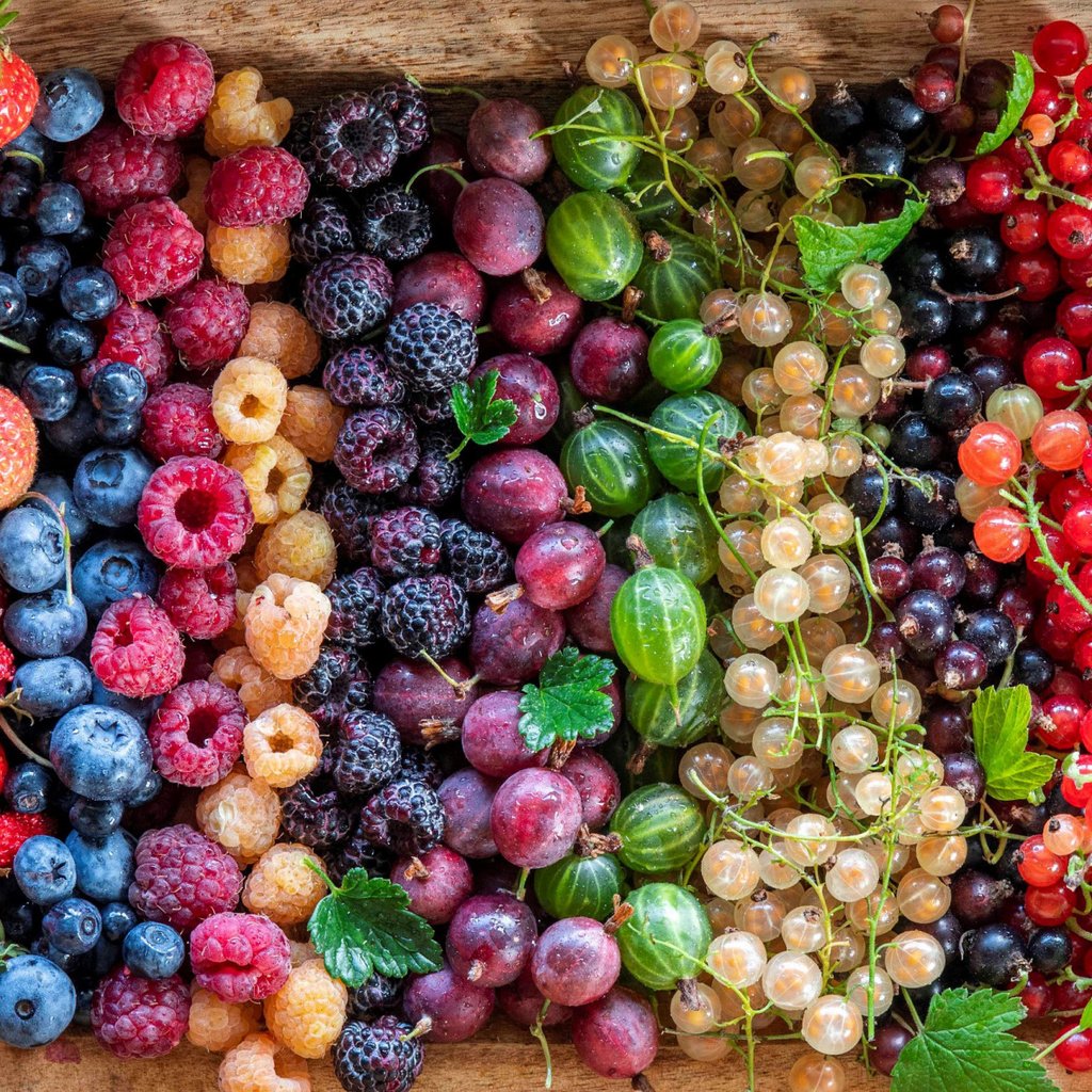 Обои малина, блюдо, клубника, ягоды, вишня, много, черника, смородина, крыжовник, raspberry, dish, strawberry, berries, cherry, a lot, blueberries, currants, gooseberry разрешение 2112x1188 Загрузить