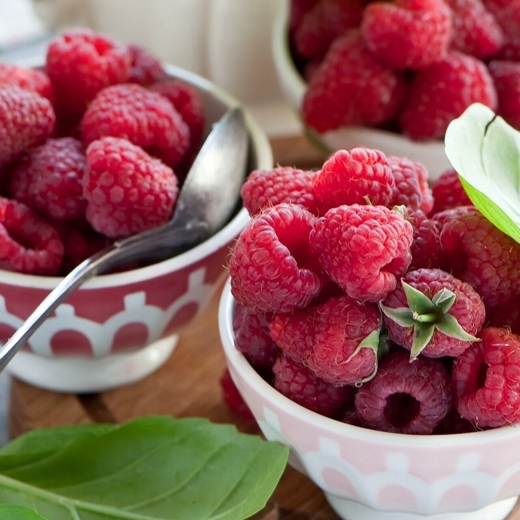 Обои малина, ягоды, ложка, пиала, raspberry, berries, spoon, bowl разрешение 1920x1200 Загрузить