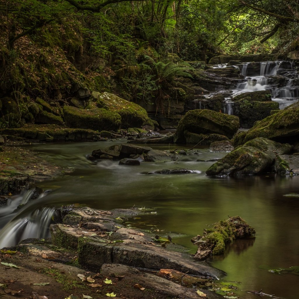 Обои река, природа, камни, водопад, мох, river, nature, stones, waterfall, moss разрешение 3600x2288 Загрузить