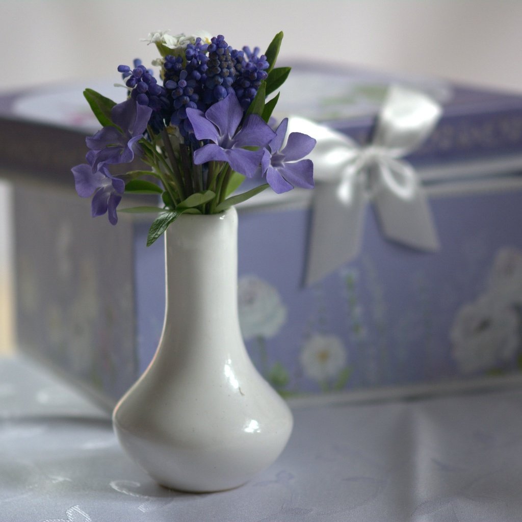 Обои цветы, ваза, коробка, flowers, vase, box разрешение 2048x1364 Загрузить