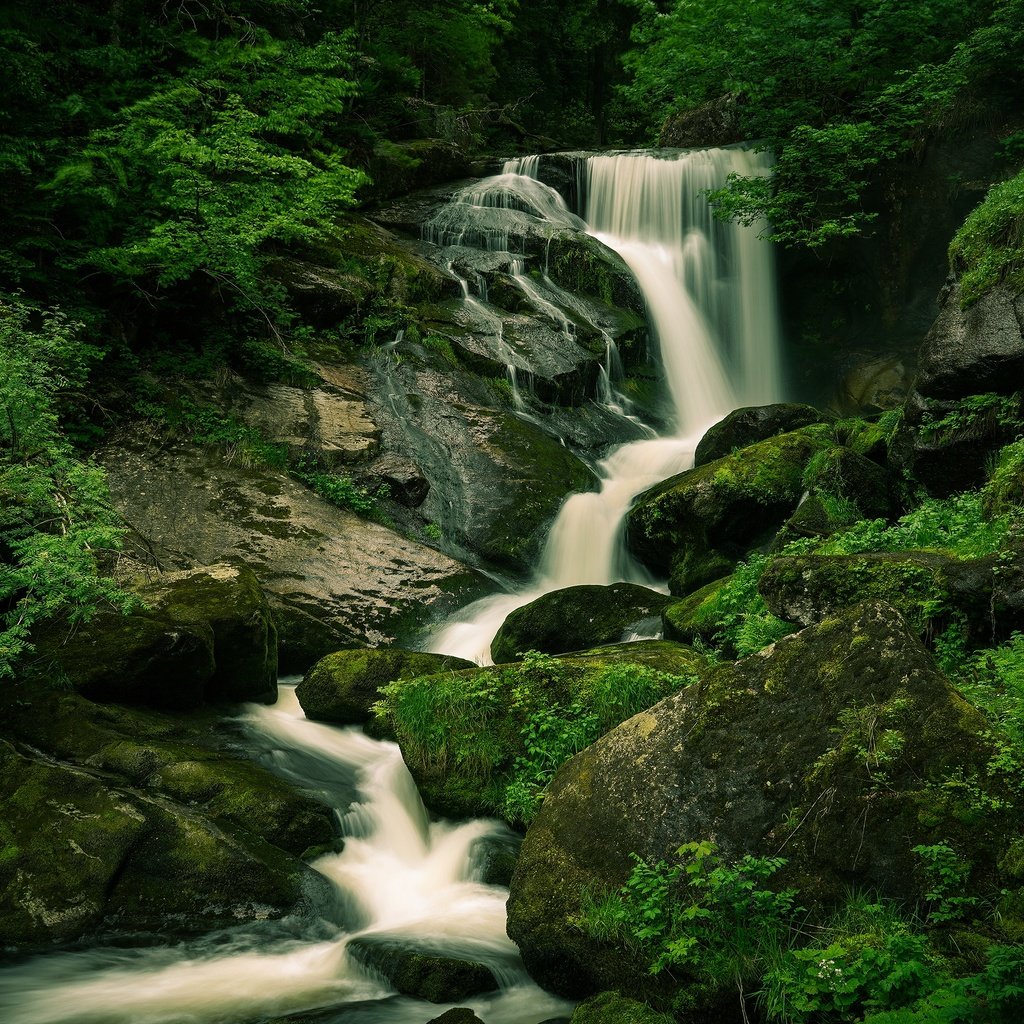 Обои камни, лес, водопад, валуны, stones, forest, waterfall, boulders разрешение 3840x2160 Загрузить