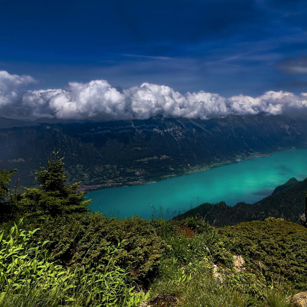 Обои облака, озеро, горы, швейцария, clouds, lake, mountains, switzerland разрешение 3885x2031 Загрузить