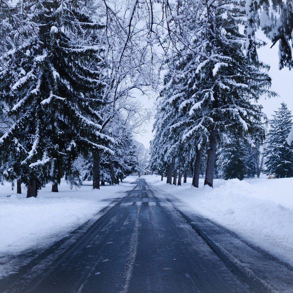 Обои дорога, деревья, снег, природа, зима, ель, road, trees, snow, nature, winter, spruce разрешение 4869x2739 Загрузить