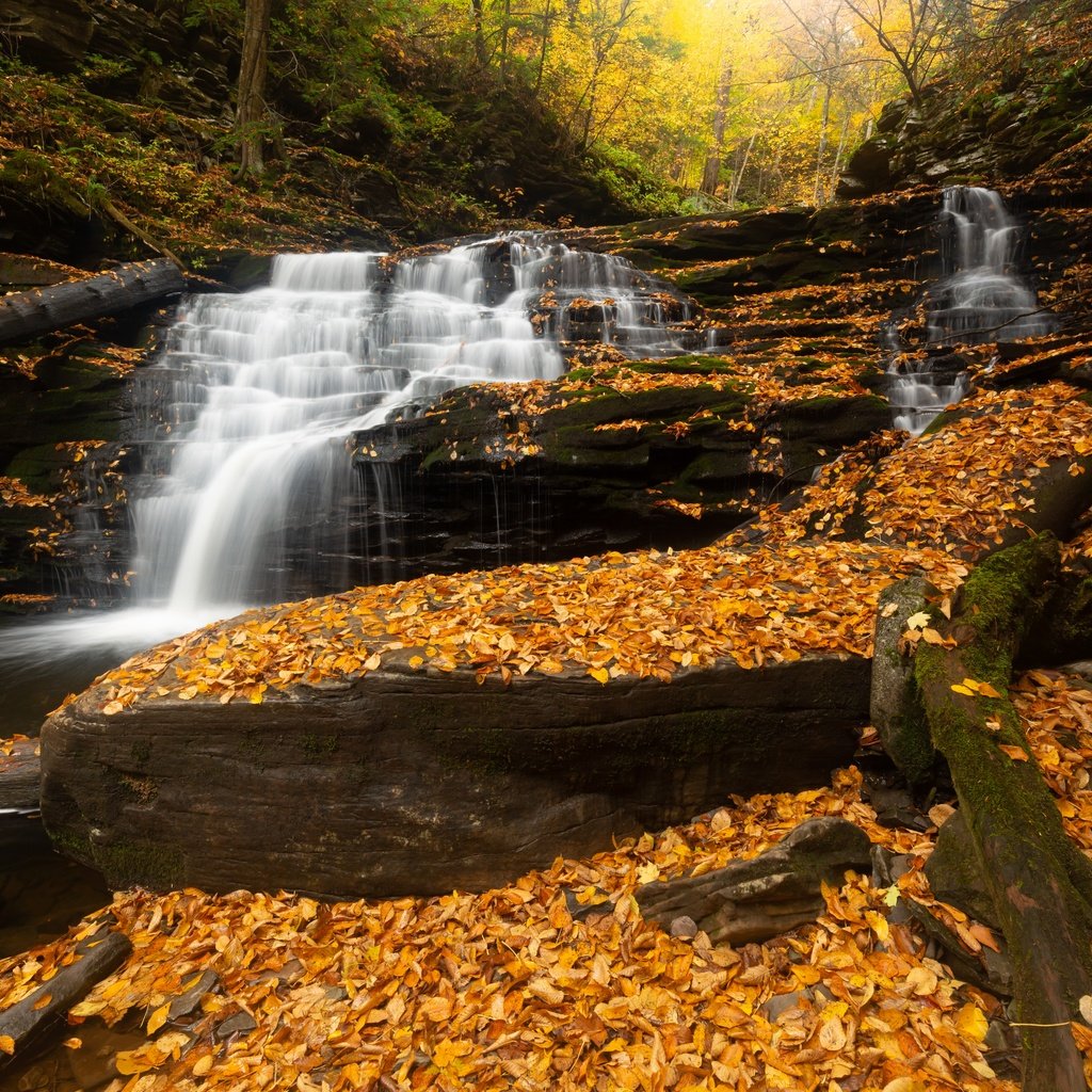 Обои листва, водопад, поток, листопад, foliage, waterfall, stream, falling leaves разрешение 5760x3840 Загрузить