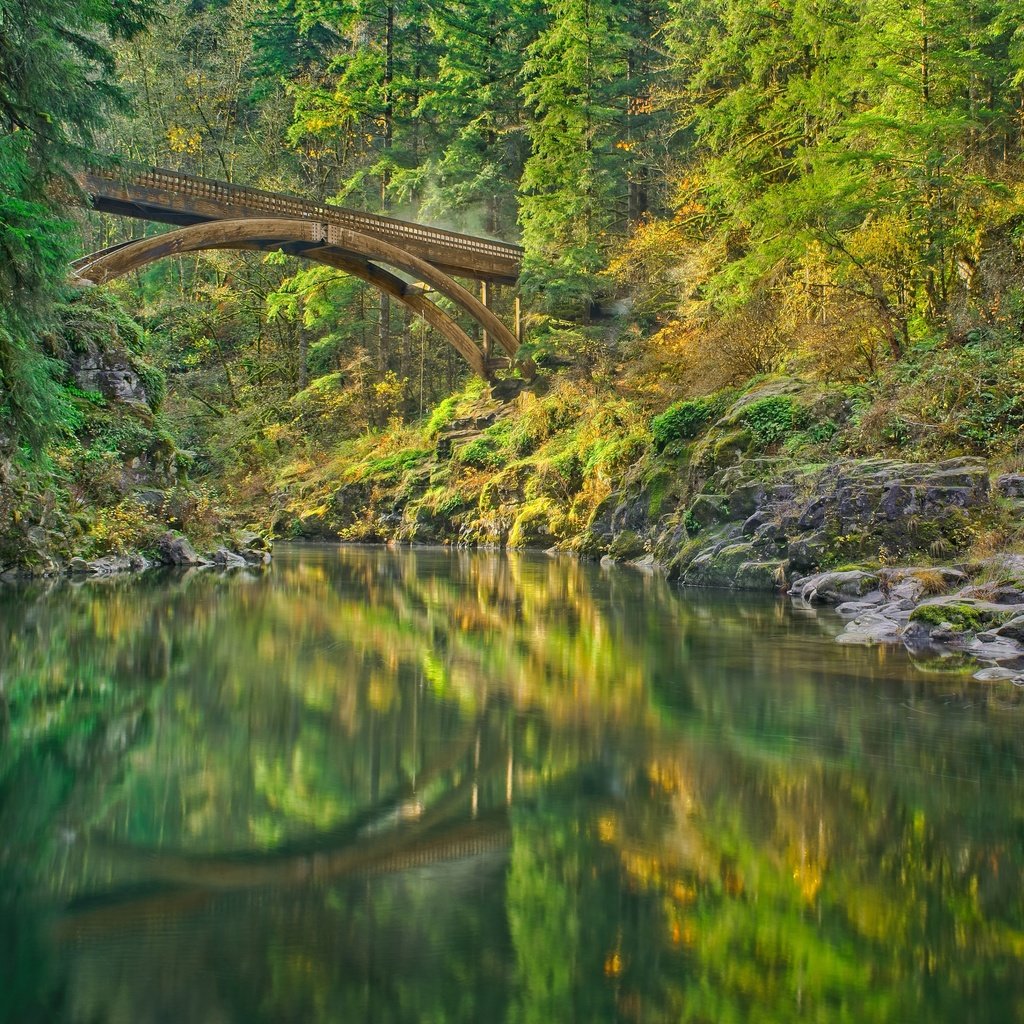 Обои река, лес, мост, штат вашингтон, lewis river, river, forest, bridge, washington разрешение 3600x2700 Загрузить