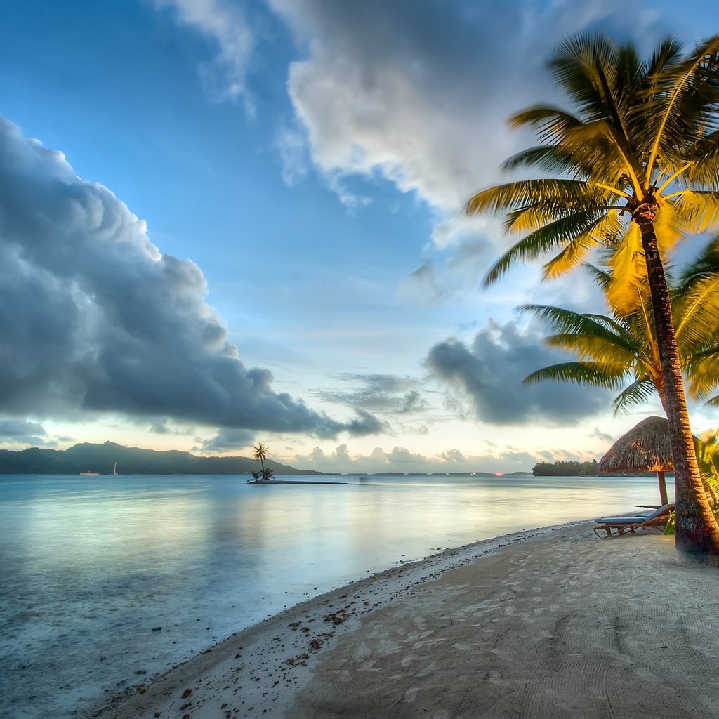 Обои пальмы, океан, тропический остров, palm trees, the ocean разрешение 2560x1704 Загрузить